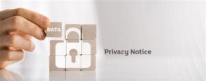 Privacy Policy - Petra Production.net